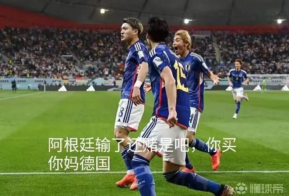 日本vs德国世界杯花露水的相关图片